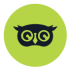 Neon-Owl-Media-Logo1